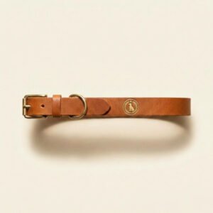 collar — Pepstar Dog Co